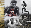 Muhammad Ali